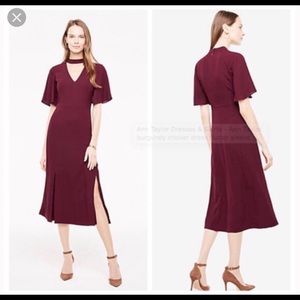 Ann Taylor Choker Dress